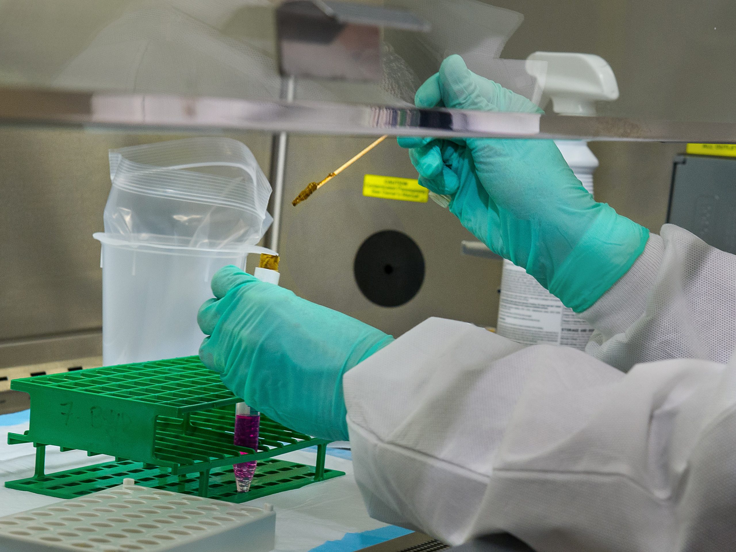 LAB SERVICES
