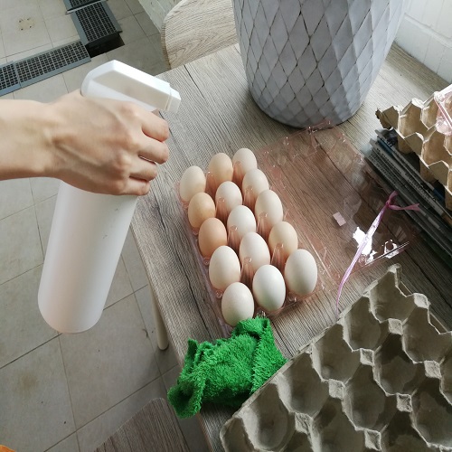 fooddisintect Food Disinfection